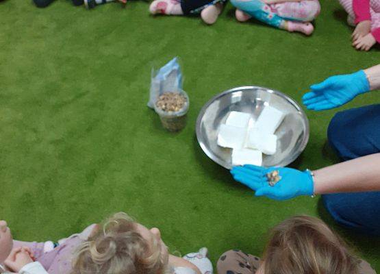 Grafika 1: Galeria Przedszkolaków