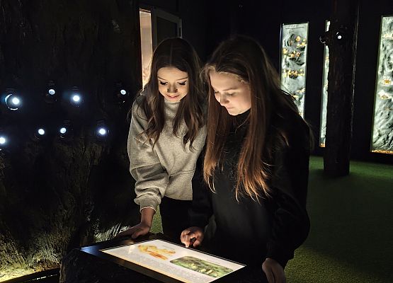 Grafika 7: Noc Biologów