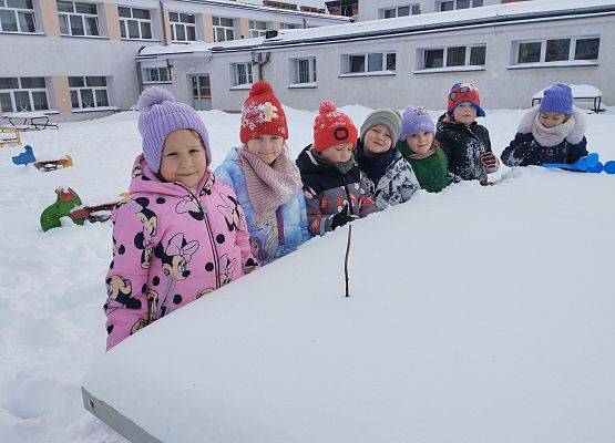 Grafika 1: Zimowe zabawy na śniegu