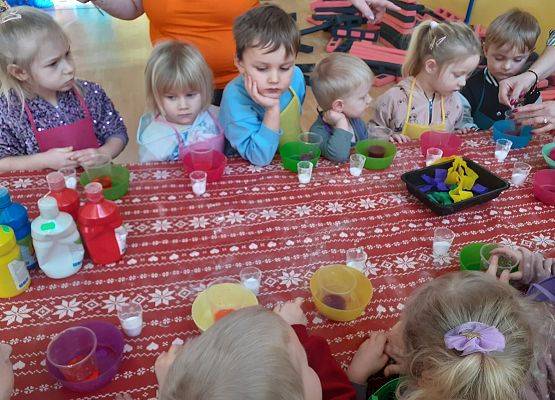 Grafika 47: Zajęcia z projektu STEAM