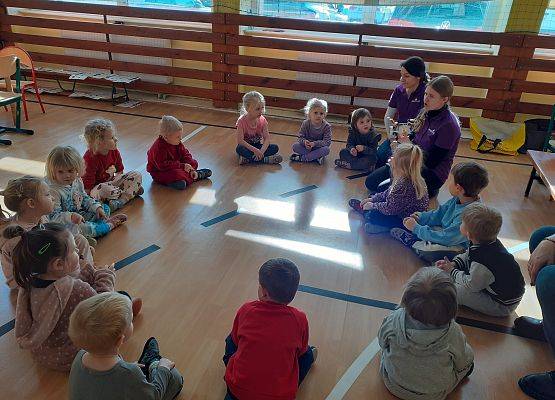 Grafika 67: Zajęcia z projektu STEAM