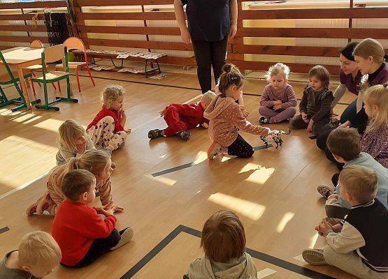 Grafika 84: Zajęcia z projektu STEAM