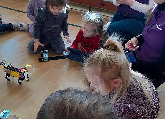 Grafika 93: Zajęcia z projektu STEAM