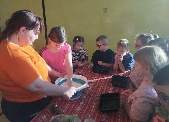 Grafika 1: Piknik edukacyjny