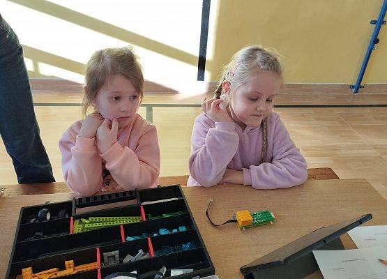 Grafika 9: Piknik edukacyjny