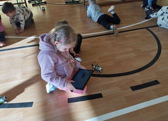 Grafika 16: Piknik edukacyjny