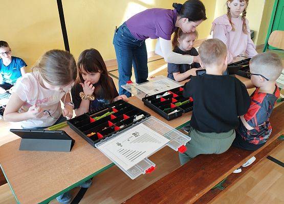 Grafika 28: Piknik edukacyjny