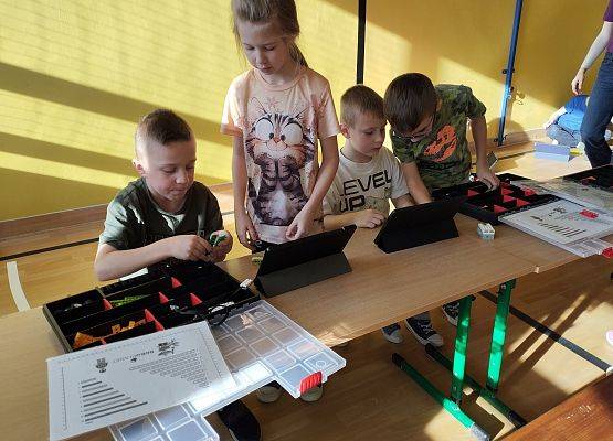 Grafika 30: Piknik edukacyjny