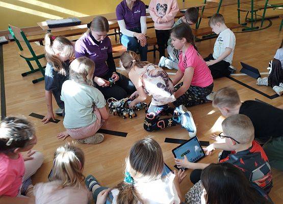 Grafika 34: Piknik edukacyjny