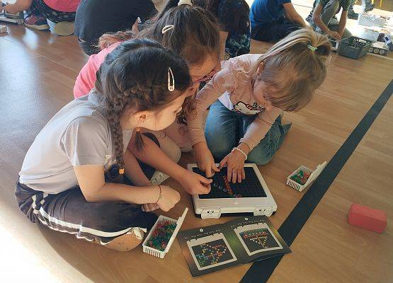 Grafika 47: Piknik edukacyjny