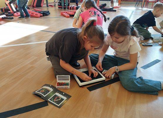 Grafika 49: Piknik edukacyjny