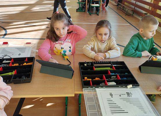 Grafika 7: Piknik edukacyjny