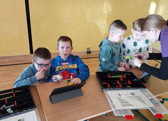 Grafika 11: Piknik edukacyjny