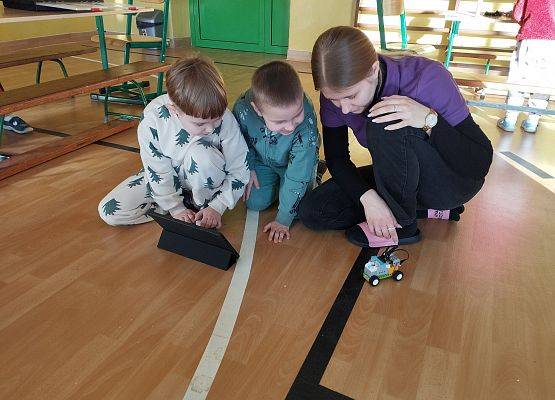 Grafika 13: Piknik edukacyjny