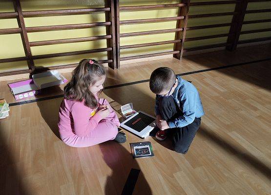 Grafika 30: Piknik edukacyjny