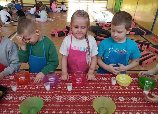 Grafika 48: Piknik edukacyjny