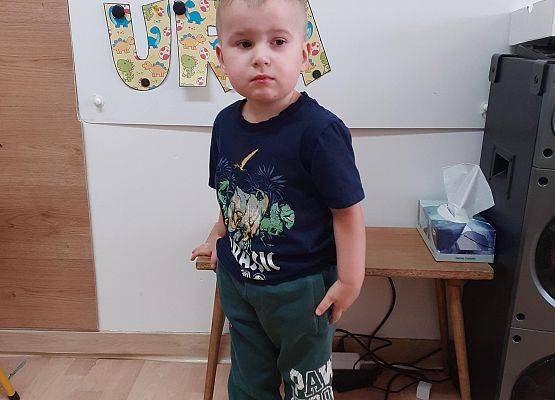 Grafika 38: Dzień Dinozaura