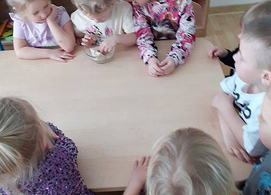 Grafika 16: Galeria Przedszkolaków