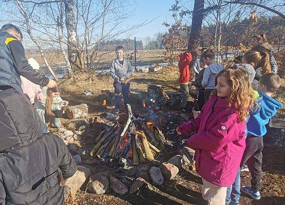 Grafika 4: Nowa strona (733)