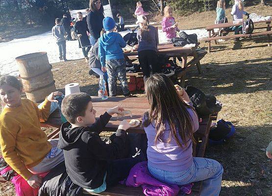 Grafika 2: Nowa strona (733)