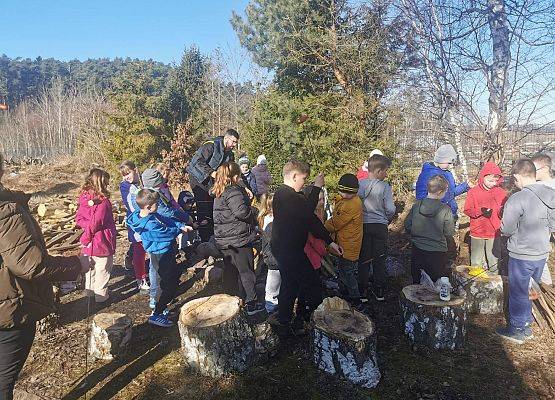 Grafika 6: Nowa strona (733)