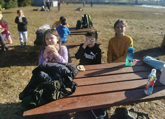 Grafika 1: Nowa strona (733)