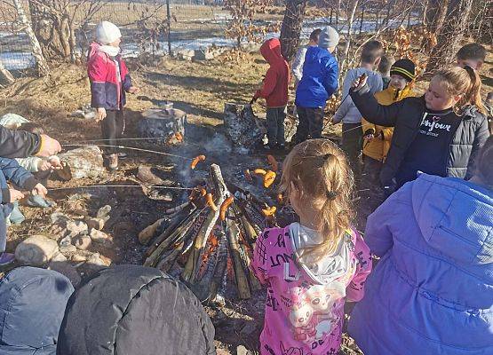 Grafika 5: Nowa strona (733)