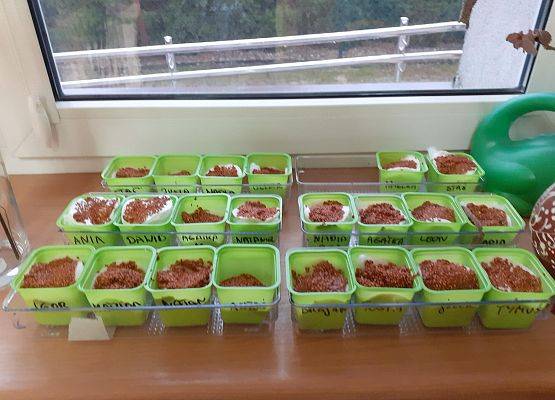 Grafika 41: Galeria Przedszkolaków