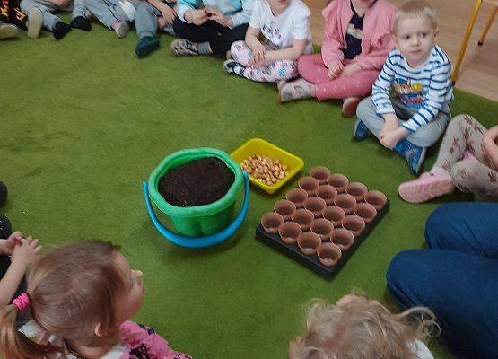 Grafika 1: Galeria Przedszkolaków