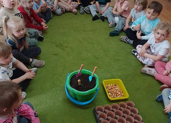 Grafika 2: Galeria Przedszkolaków