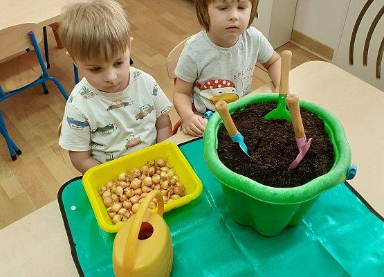 Grafika 4: Galeria Przedszkolaków