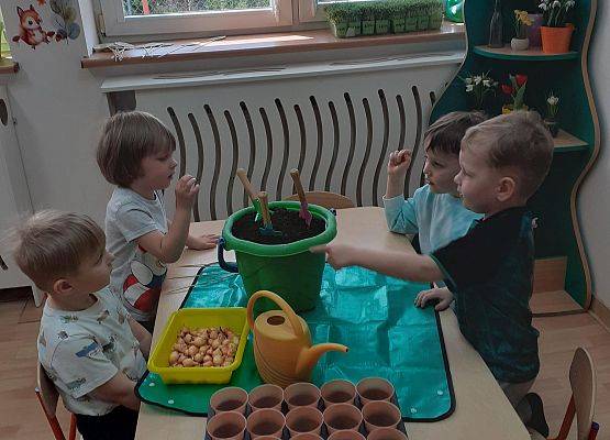 Grafika 5: Galeria Przedszkolaków