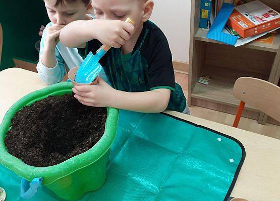 Grafika 6: Galeria Przedszkolaków