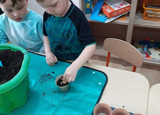 Grafika 7: Galeria Przedszkolaków