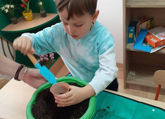 Grafika 8: Galeria Przedszkolaków