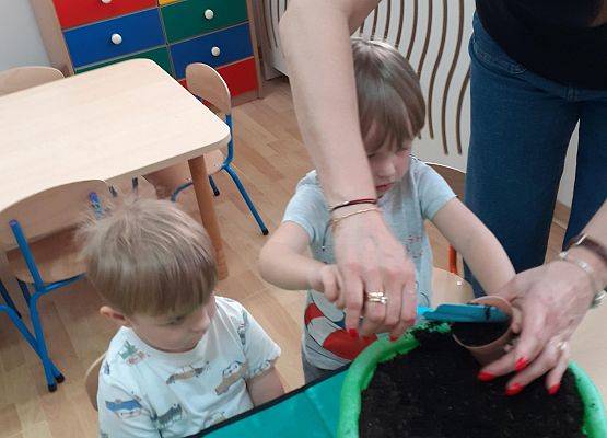 Grafika 10: Galeria Przedszkolaków