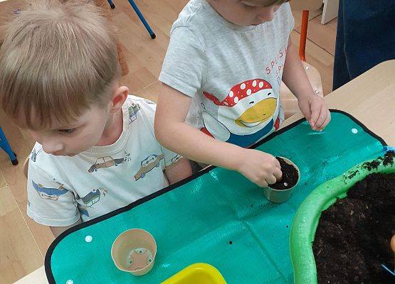 Grafika 11: Galeria Przedszkolaków