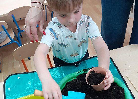 Grafika 12: Galeria Przedszkolaków