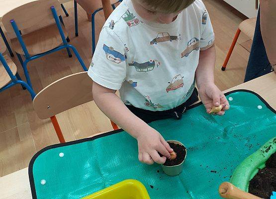 Grafika 13: Galeria Przedszkolaków