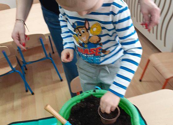 Grafika 19: Galeria Przedszkolaków