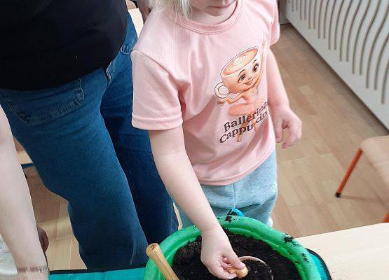 Grafika 21: Galeria Przedszkolaków