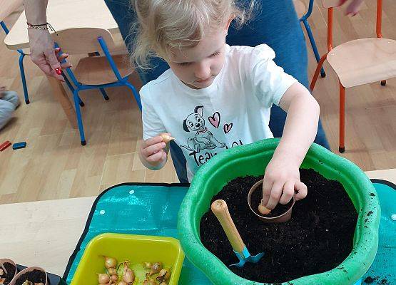 Grafika 33: Galeria Przedszkolaków