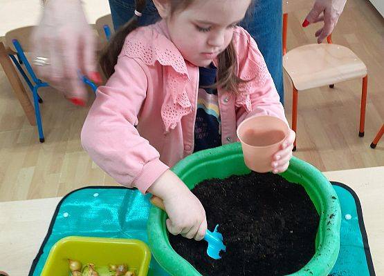 Grafika 34: Galeria Przedszkolaków