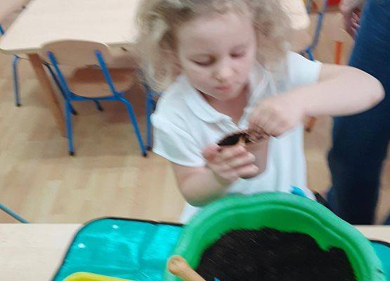 Grafika 38: Galeria Przedszkolaków