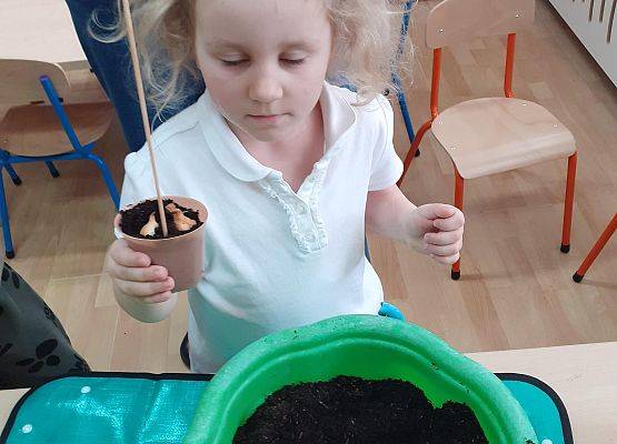 Grafika 39: Galeria Przedszkolaków