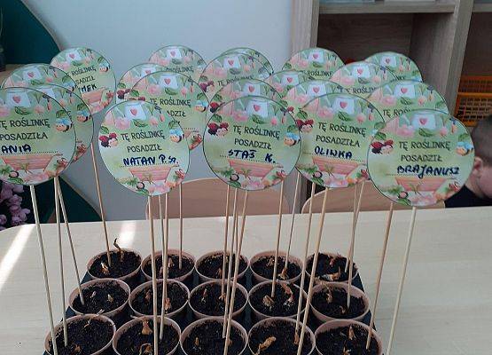 Grafika 44: Galeria Przedszkolaków