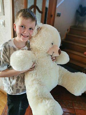  Grafika #11: Dzień Misia