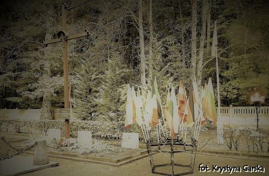  Grafika #50: Uroczystość ku czci Ofiar Marszu Śmierci KL Stutthof w Krępie Kaszubskiej dnia 27 września 2020