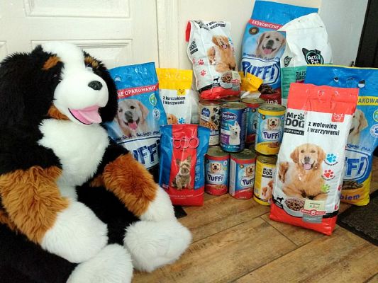  Grafika #7: POMAGAMY