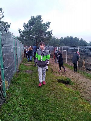  Grafika #17: Wizyta wolontariuszy w lęborskiej noclegowni i schronisku dla zwierząt.